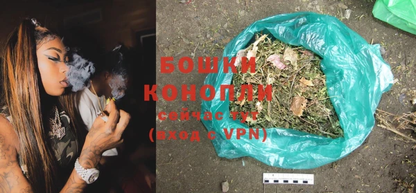 ешки Арсеньев