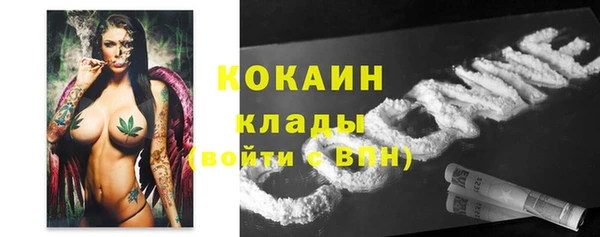 ешки Арсеньев
