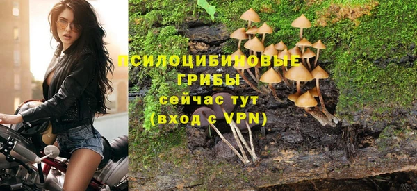 ешки Армянск