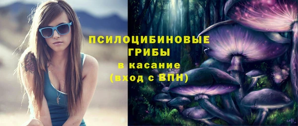 ешки Арсеньев
